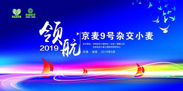 1560128078765776.jpg 1.jpg