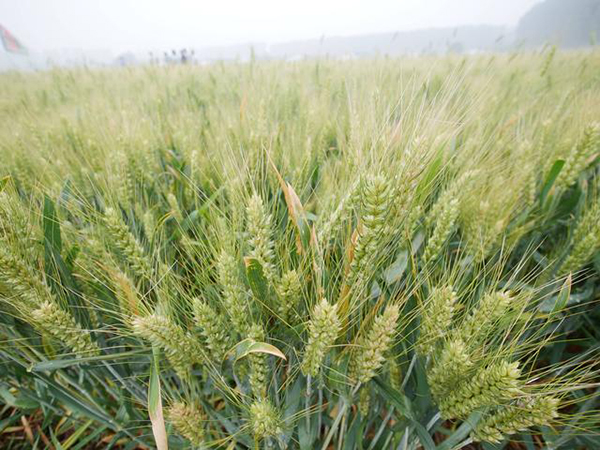 1560128103498334.jpg 3.jpg