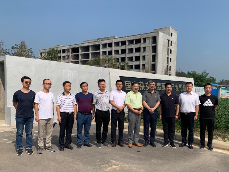 1599021655653149.jpg 5f6063bc873e374827c75e907862fb4.jpg